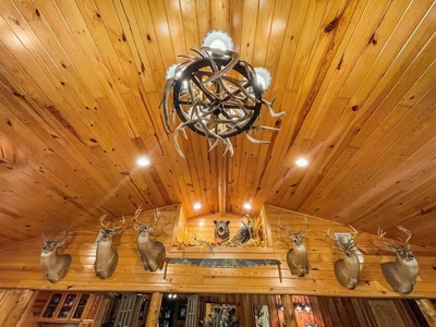 Rustic Home on 11.5 Acres in Catahoula Parish, LA - image 18