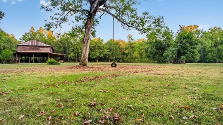 Rustic Home on 11.5 Acres in Catahoula Parish, LA - image 10