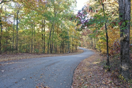 1765.56 Surveyed Acres For Sale with Timber and Buildings! - image 20