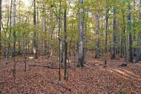 1765.56 Surveyed Acres For Sale with Timber and Buildings! - image 26