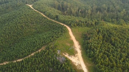 1765.56 Surveyed Acres For Sale with Timber and Buildings! - image 12