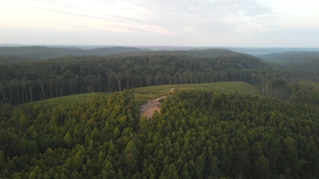 1765.56 Surveyed Acres For Sale with Timber and Buildings! - image 14