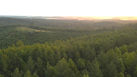 1765.56 Surveyed Acres For Sale with Timber and Buildings! - image 11