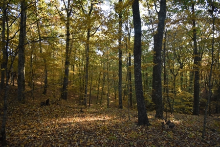 1765.56 Surveyed Acres For Sale with Timber and Buildings! - image 30