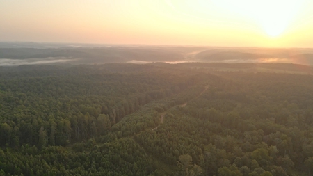 1765.56 Surveyed Acres For Sale with Timber and Buildings! - image 13