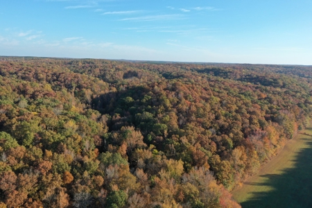 1765.56 Surveyed Acres For Sale with Timber and Buildings! - image 22