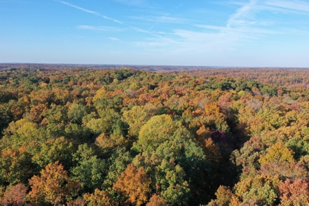 1765.56 Surveyed Acres For Sale with Timber and Buildings! - image 21