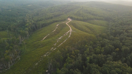 1765.56 Surveyed Acres For Sale with Timber and Buildings! - image 10