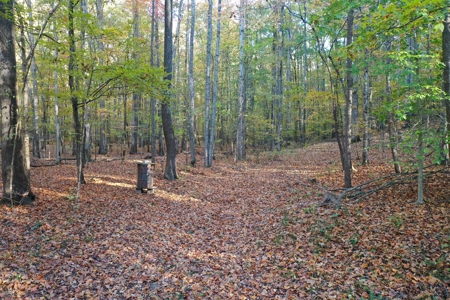 1765.56 Surveyed Acres For Sale with Timber and Buildings! - image 25
