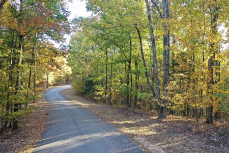 1765.56 Surveyed Acres For Sale with Timber and Buildings! - image 19