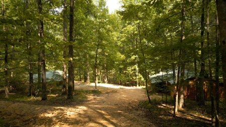 1765.56 Surveyed Acres For Sale with Timber and Buildings! - image 16