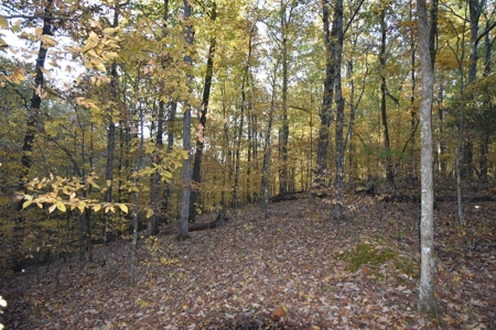 1765.56 Surveyed Acres For Sale with Timber and Buildings! - image 29