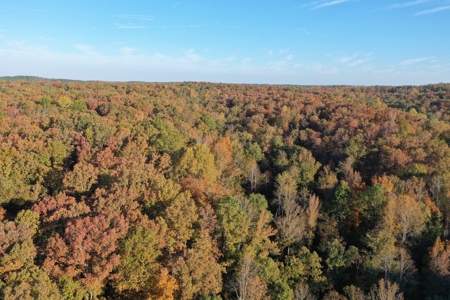 1765.56 Surveyed Acres For Sale with Timber and Buildings! - image 23