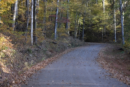 1765.56 Surveyed Acres For Sale with Timber and Buildings! - image 28