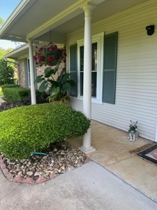Residential Home in Hughes Springs For Sale - image 49