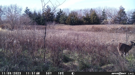 Harrison County Land Auction - 254+/- Acre Farm -Online Only - image 21