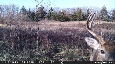 Harrison County Land Auction - 254+/- Acre Farm -Online Only - image 28