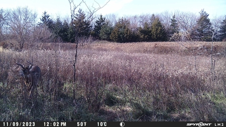 Harrison County Land Auction - 254+/- Acre Farm -Online Only - image 22