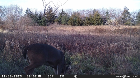 Harrison County Land Auction - 254+/- Acre Farm -Online Only - image 19