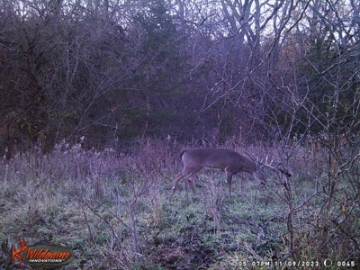Harrison County Land Auction - 254+/- Acre Farm -Online Only - image 45