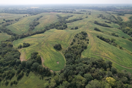 Harrison County Land Auction - 254+/- Acre Farm -Online Only - image 4