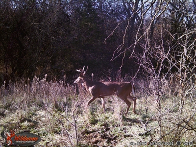 Harrison County Land Auction - 254+/- Acre Farm -Online Only - image 47