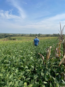 Harrison County Land Auction - 254+/- Acre Farm -Online Only - image 15