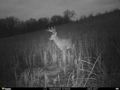Harrison County Land Auction - 254+/- Acre Farm -Online Only - image 37