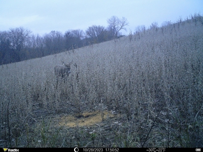 Harrison County Land Auction - 254+/- Acre Farm -Online Only - image 34