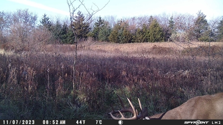Harrison County Land Auction - 254+/- Acre Farm -Online Only - image 17