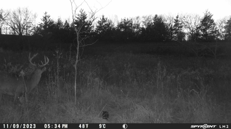 Harrison County Land Auction - 254+/- Acre Farm -Online Only - image 23
