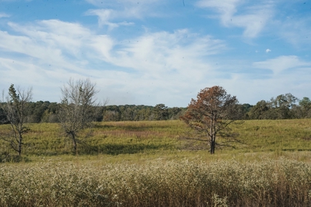 Parish Line 152 - image 10