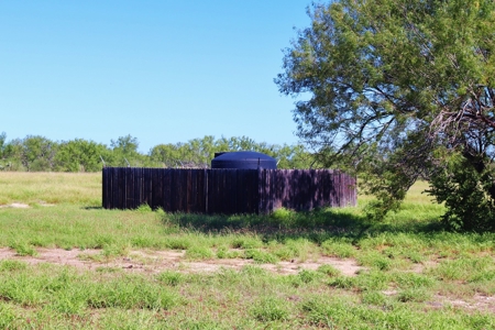 22 Acre property for sale on Hwy 277, Carrizo Springs - image 6