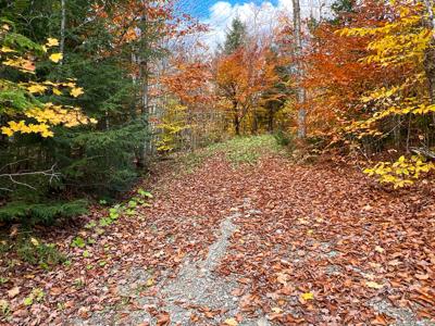 Maine Timberland Lot for Sale - image 18