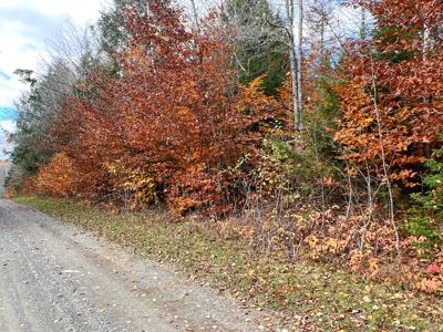 Maine Timberland Lot for Sale - image 17