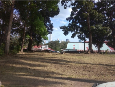 330m2 Lot in Altos de Curundu, Ancon for sale - image 3