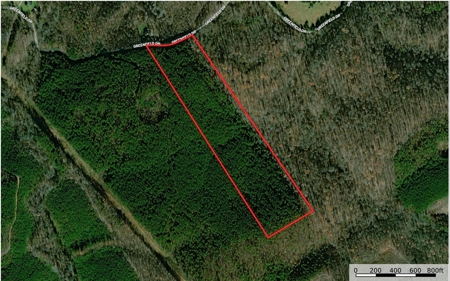 Blank Canvass In Southern VA - image 2
