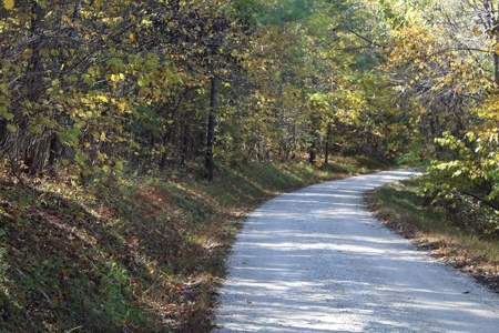 Blank Canvass In Southern VA - image 1