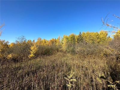 20 Acres of Wooded & Pasture Land For Sale in Pine County MN - image 11