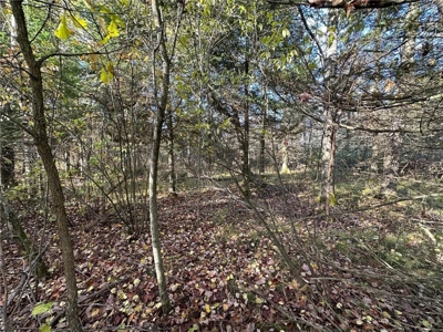 20 Acres of Wooded & Pasture Land For Sale in Pine County MN - image 10