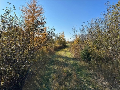 20 Acres of Wooded & Pasture Land For Sale in Pine County MN - image 3