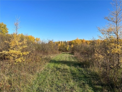 20 Acres of Wooded & Pasture Land For Sale in Pine County MN - image 4