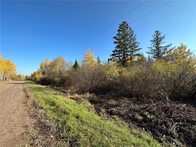 20 Acres of Wooded & Pasture Land For Sale in Pine County MN - image 2