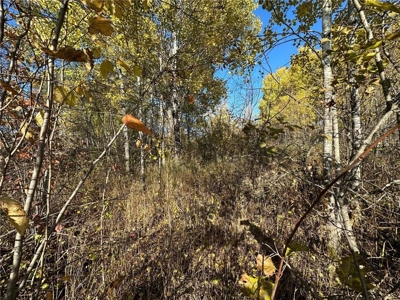 20 Acres of Wooded & Pasture Land For Sale in Pine County MN - image 9