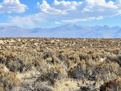 Nevada Recreational Hunting Mountain Desert Land For Sale - image 8