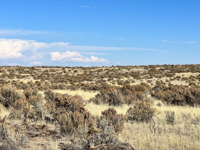 Nevada Recreational Hunting Mountain Desert Land For Sale - image 5