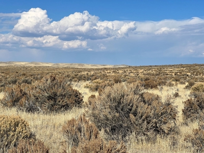 Nevada Recreational Hunting Mountain Desert Land For Sale - image 1