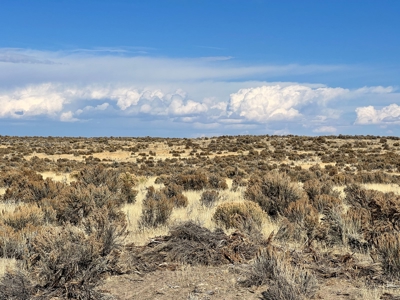 Nevada Recreational Hunting Mountain Desert Land For Sale - image 4