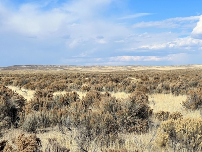 Nevada Recreational Hunting Mountain Desert Land For Sale - image 11