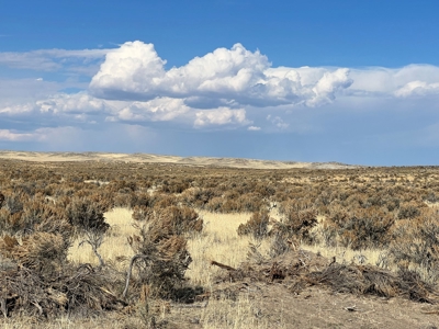 Nevada Recreational Hunting Mountain Desert Land For Sale - image 2